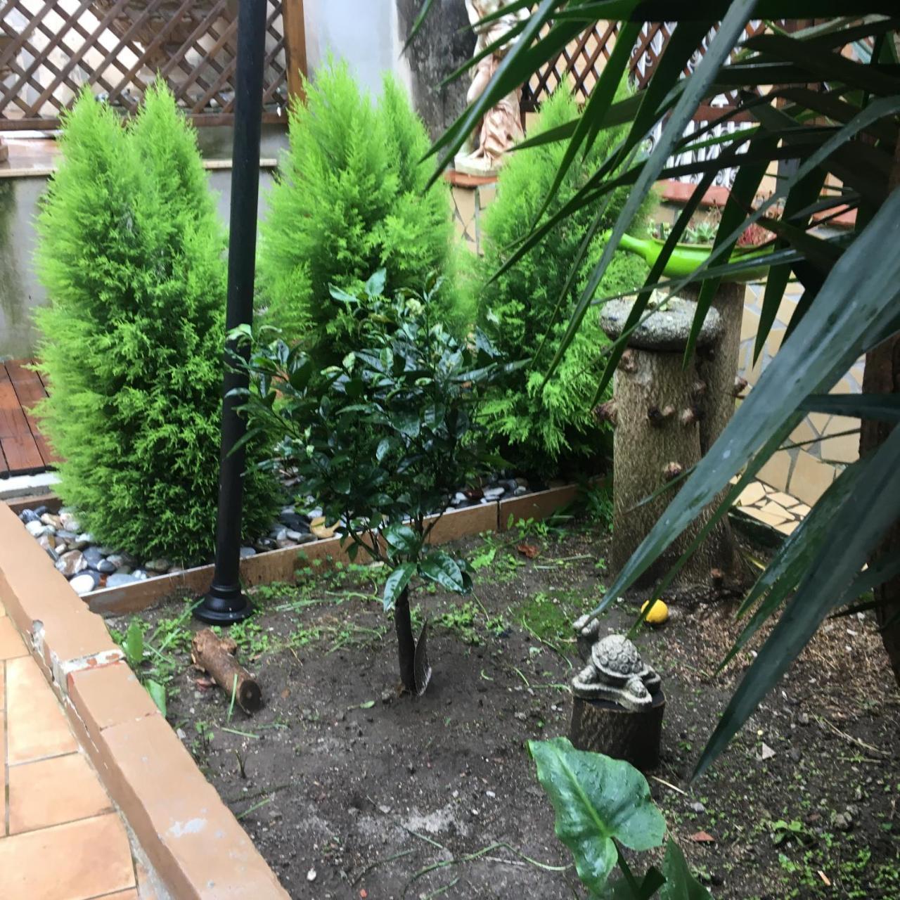 ナポリ Il Giardino Di Daphne Bed & Breakfast エクステリア 写真